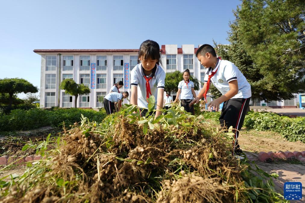 金沙跳槽金